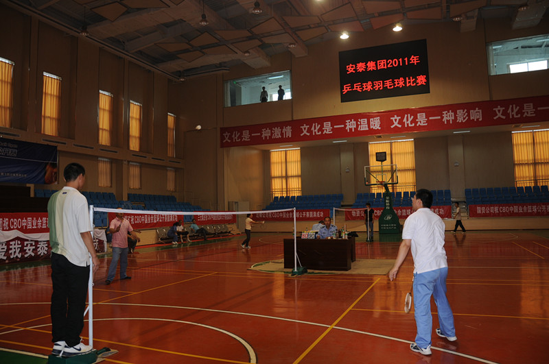 乒乓球羽毛球比賽 乒乓球羽毛球比賽